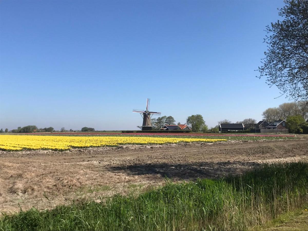 In De Gele Hoed Mooie Appartementen Met Fantastisch Uitzicht Zonnemaire Eksteriør bilde